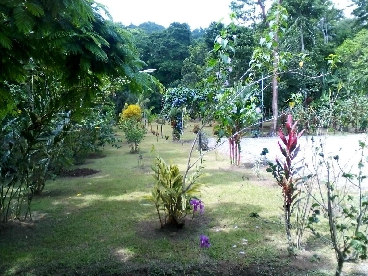 Puerto Vargas Lodge Кахуита Екстериор снимка