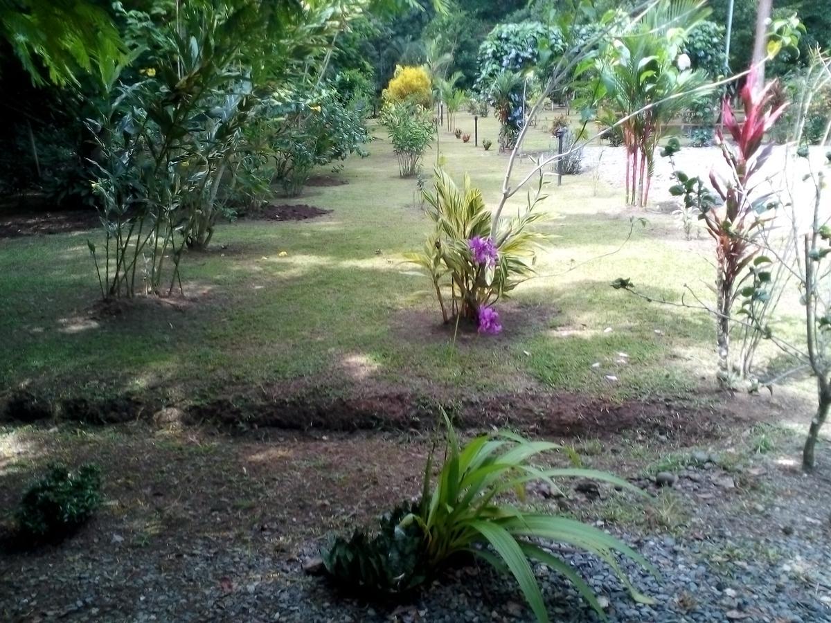 Puerto Vargas Lodge Кахуита Екстериор снимка